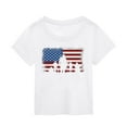 4th of july baseball sleeves