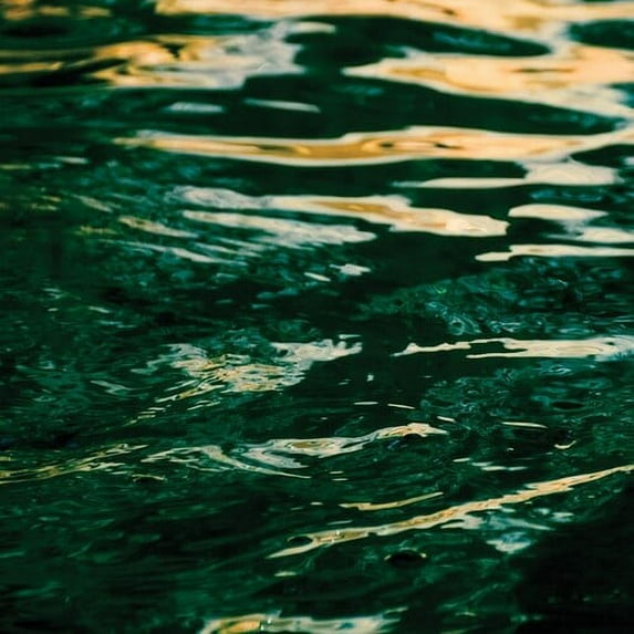 Jo Johnson - The Wave Ahead - Music & Performance - CD