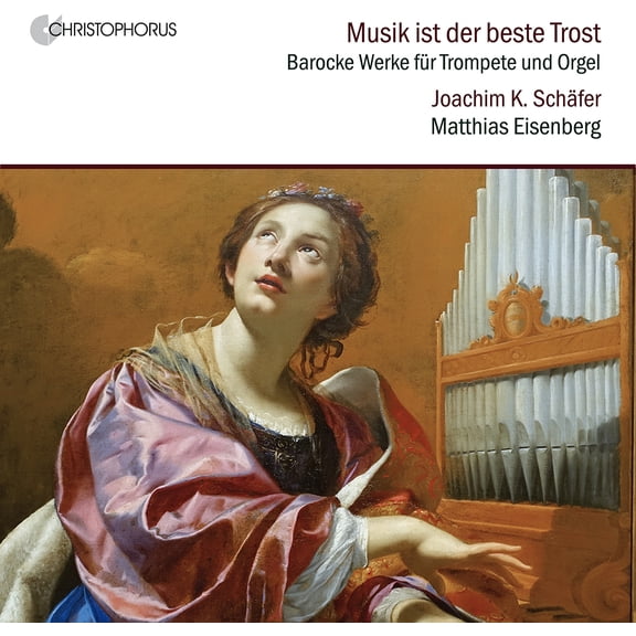 Joachim Schafer - Musik ist der beste Trost - Music & Performance - CD