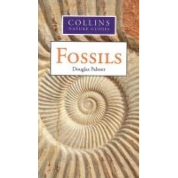 Joanna Potts Hamlyn Guide to Fossils (Paperback)