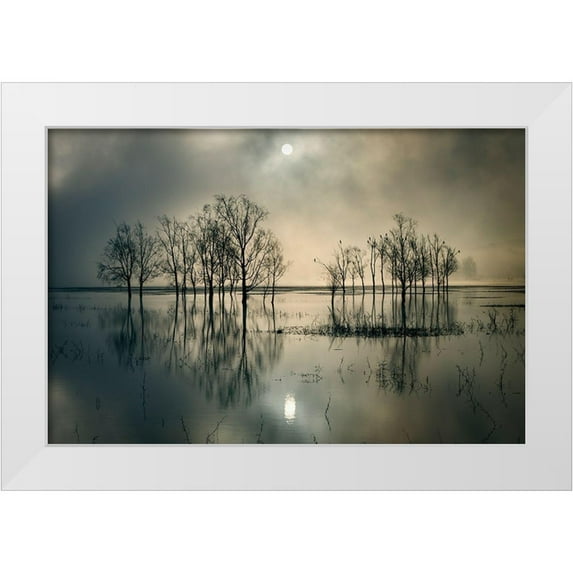 Joanne, Flj 18x13 White Modern Wood Framed Museum Art Print Titled - Lakes Secret