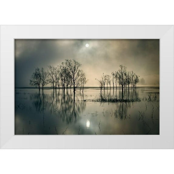 Joanne_Flj 24x17 White Modern Wood Framed Museum Art Print Titled - Lakes Secret