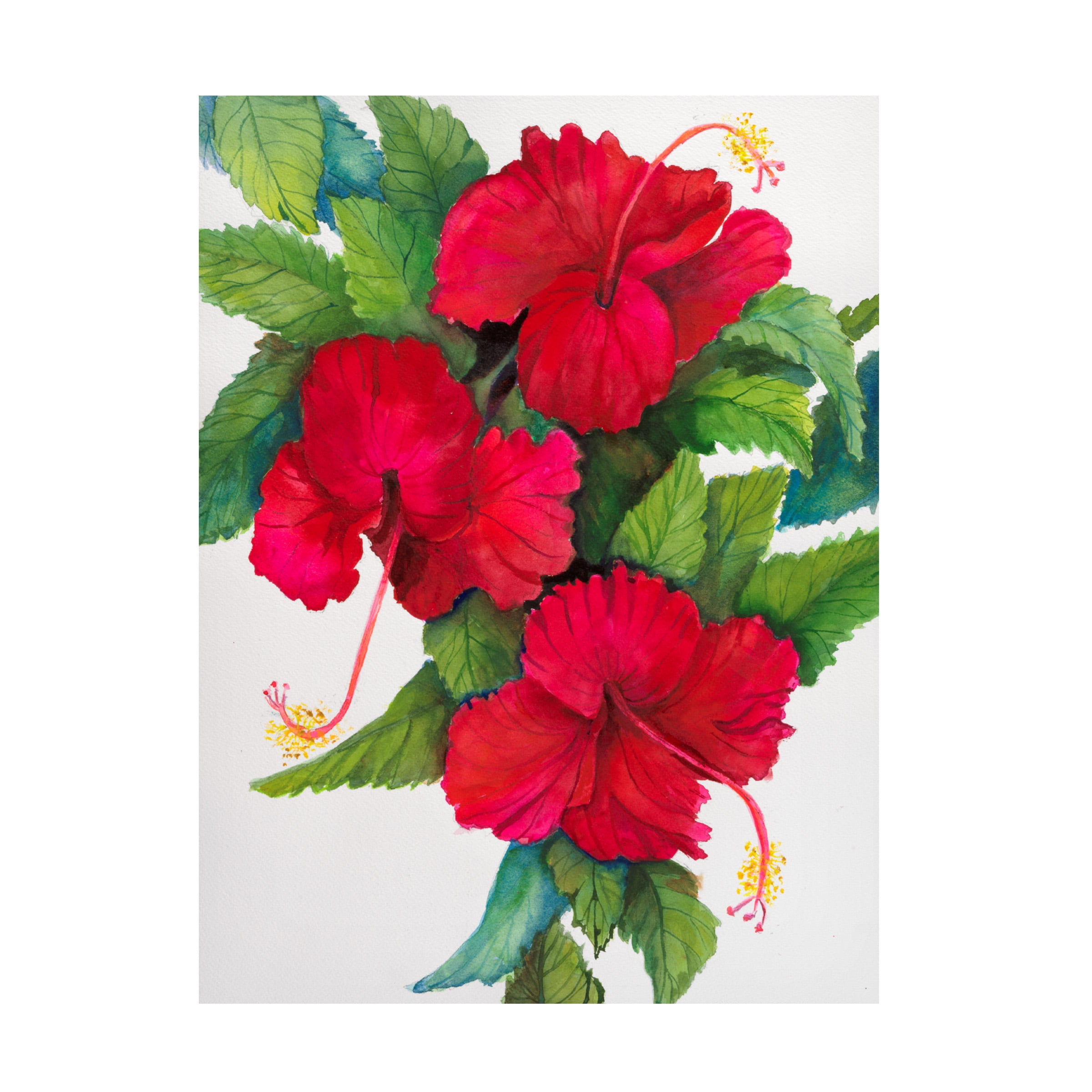 Joanne Porter Botanical Red Hibiscus Canvas Art Print 19" x 14"