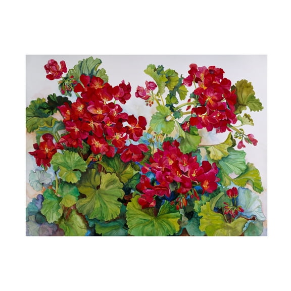Trademark Fine Art Joanne Porter Deep Red Geraniums Canvas Wall Art - 24x32