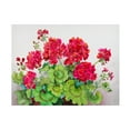 thumbnail image 1 of Trademark Fine Art Joanne Porter Red Geraniums Canvas Wall Art - 18x24, 1 of 5