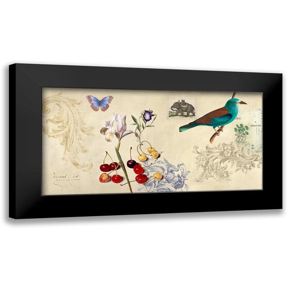 Joannoo 14x9 Black Modern Framed Museum Art Print Titled - Cabinet of Curiosities I