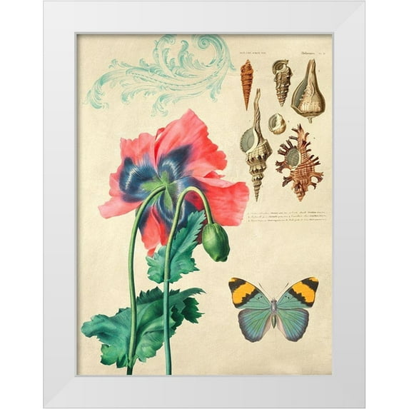 Joannoo 19x24 White Modern Wood Framed Museum Art Print Titled - Cabinet of Curiosities n. 3