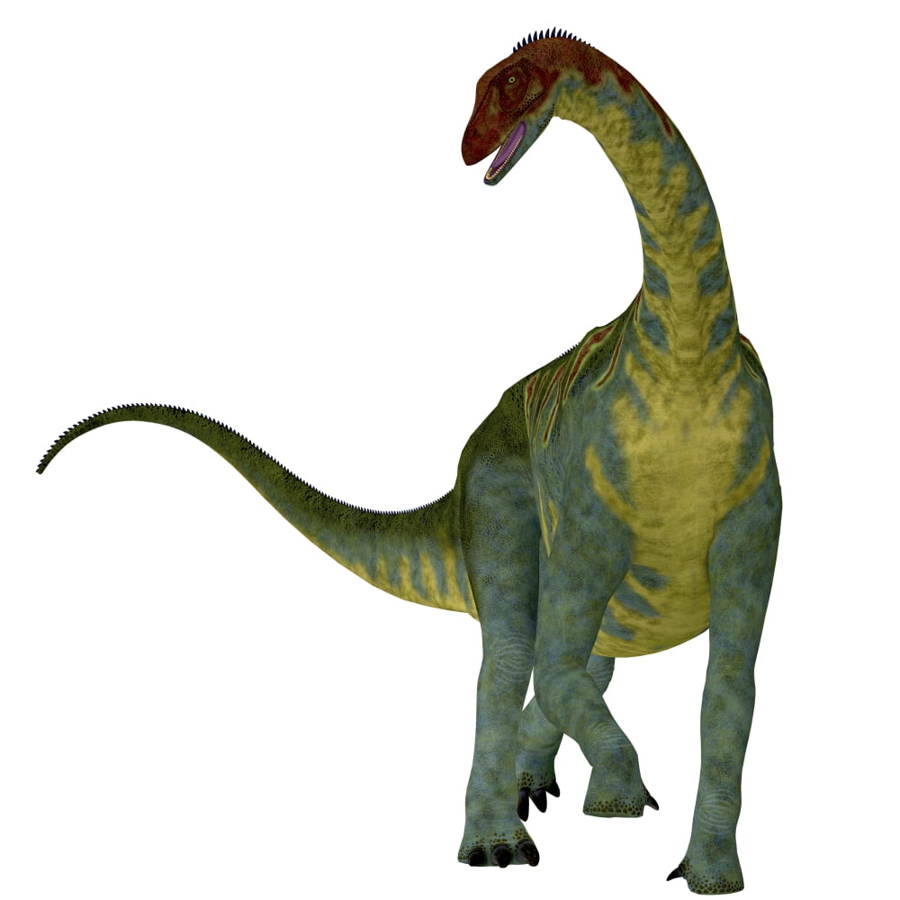 Jobaria dinosaur front view Canvas Art - Corey FordStocktrek Images (28 x 28)