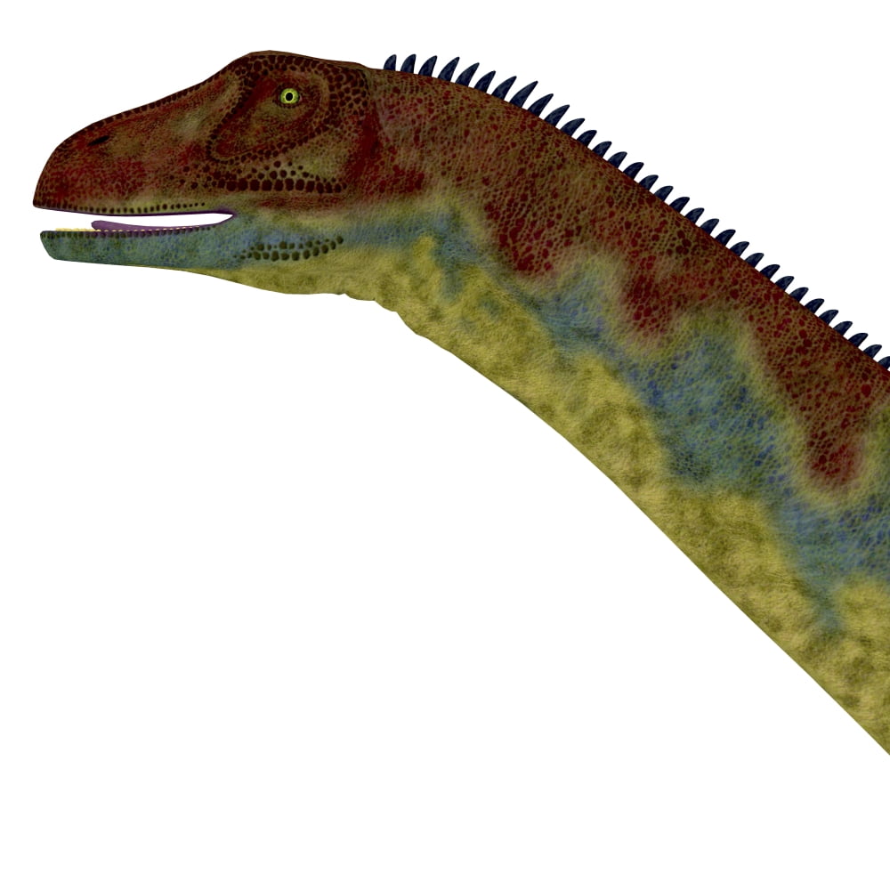 Jobaria dinosaur portrait Canvas Art - Corey FordStocktrek Images (28 x 28)