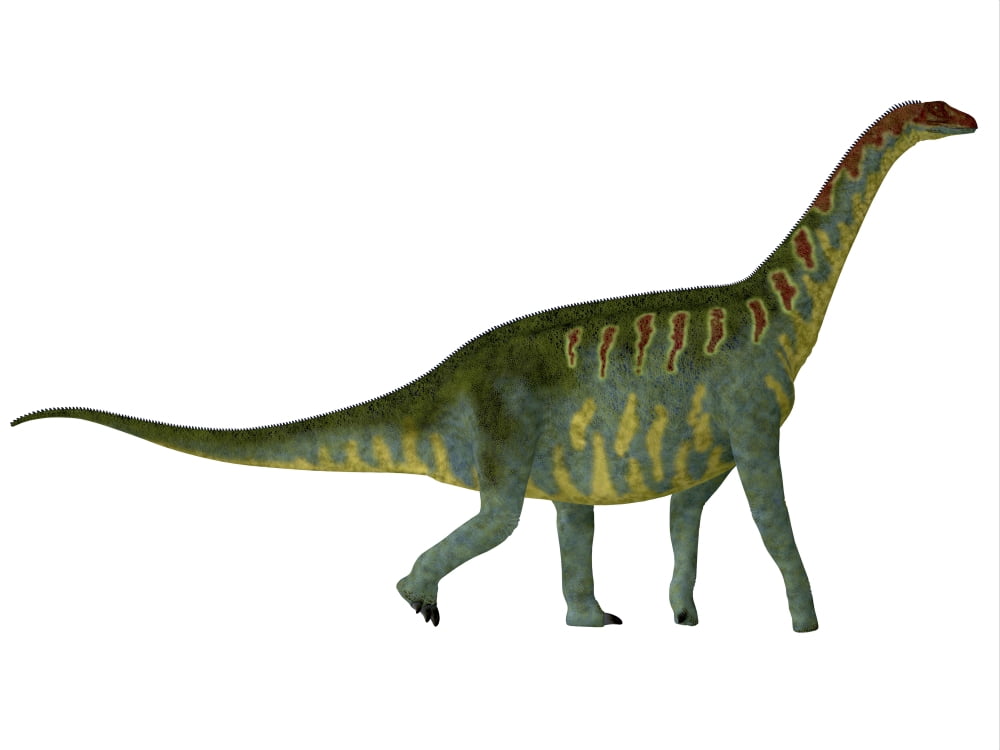 Jobaria dinosaur side view Canvas Art - Corey FordStocktrek Images (16 x 12)