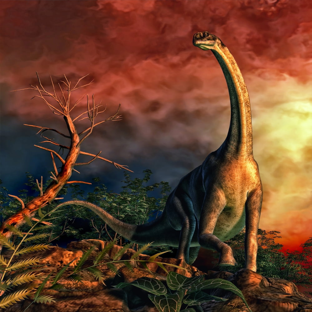 Jobaria was a sauropod dinosaur that lived during the middle Jurassic Period Canvas Art - Philip BrownlowStocktrek Images (29 x 29)