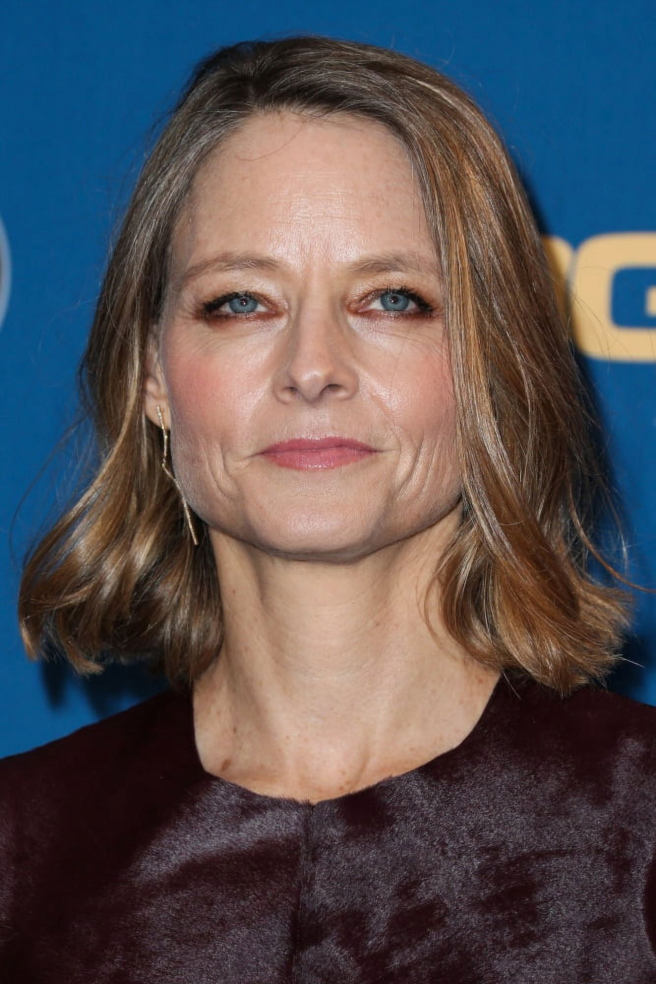 Jodie Foster In The Press Room For 67Th Annual Directors Guild Of America Dga Awards - Press Room Canvas Art - (16 x 20)