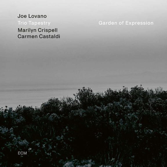 Joe Lovano / Marilyn Crispell / Carmen Castaldi - Garden Of Expression (LP) - Vinyl