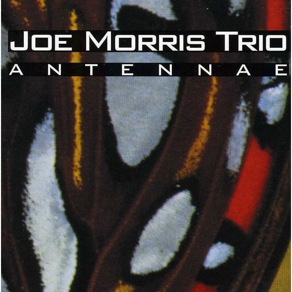 Joe Morris - Antennae - Jazz - CD