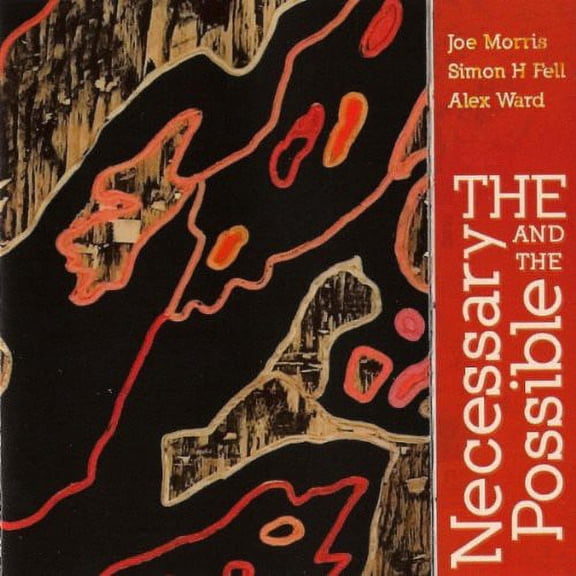 Joe Morris - The Necessary and The Possible   [COMPACT DISCS]