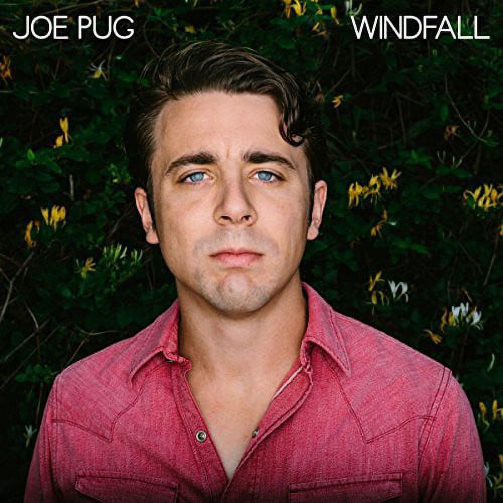 Joe Pug - Windfall - Vinyl