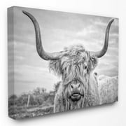 Joe Reynolds Highland Cow 40 in x 30 in Photography Canvas Art Print, by Stupell Home Décor