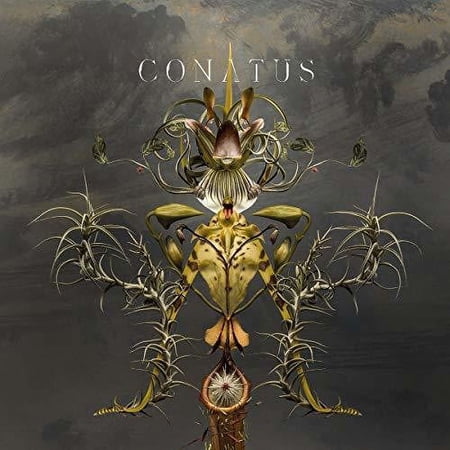 Joep Beving - Conatus - Music & Performance - Vinyl