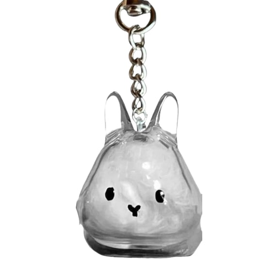 Joernso 1/4Pcs Pet Rabbit Hair Keychain Keepsake Capsule Memorial Pendant Hair Storage Bottle Transparent Pet Hair Key Chain