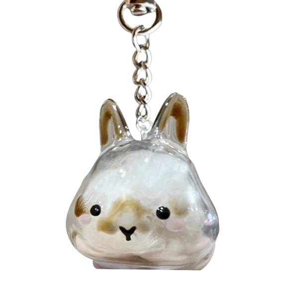 Joernso 1/4Pcs Pet Rabbit Hair Keychain Keepsake Capsule Memorial Pendant Hair Storage Bottle Transparent Pet Hair Key Chain