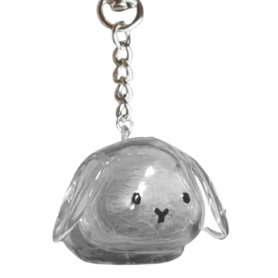 Joernso 1/4Pcs Pet Rabbit Hair Keychain Keepsake Capsule Memorial Pendant Hair Storage Bottle Transparent Pet Hair Key Chain