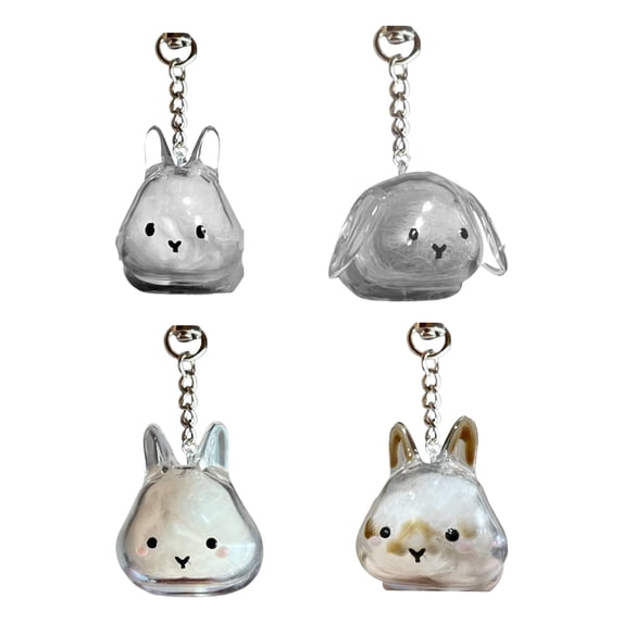Joernso 1/4Pcs Pet Rabbit Hair Keychain Keepsake Capsule Memorial Pendant Hair Storage Bottle Transparent Pet Hair Key Chain