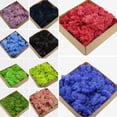 thumbnail image 1 of Joernso 1 Box Eternal Life Dried Moss Mini Landscape Decor DIY Flower Craft Accessory, 1 of 8