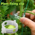 thumbnail image 1 of Joernso 100/200/300Pcs Plant Support Clips Plastic White Green Plant Garden Clip Pepper Eggplant Fixer Tomato Clips Vine Fixing Clips Easy to Use Gardening Tool, 1 of 8