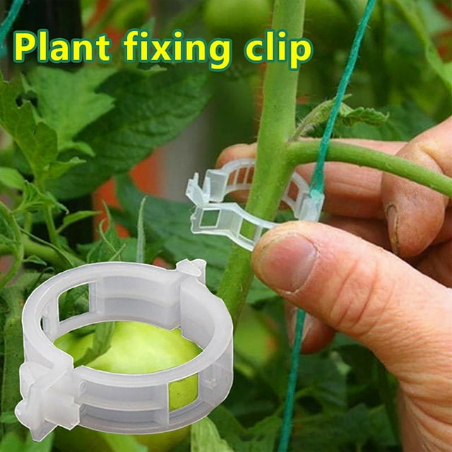 Joernso 100/200/300Pcs Plant Support Clips Plastic White Green Plant Garden Clip Pepper Eggplant Fixer Tomato Clips Vine Fixing Clips Easy to Use Gardening Tool