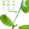 thumbnail image 1 of Joernso 50Pcs Vine Holder Self-adhesive No Punching Easy Installation Invisible Sticky Plants Support Plastic Wall Climbing Vine Clip Gardening Supplies, 1 of 8