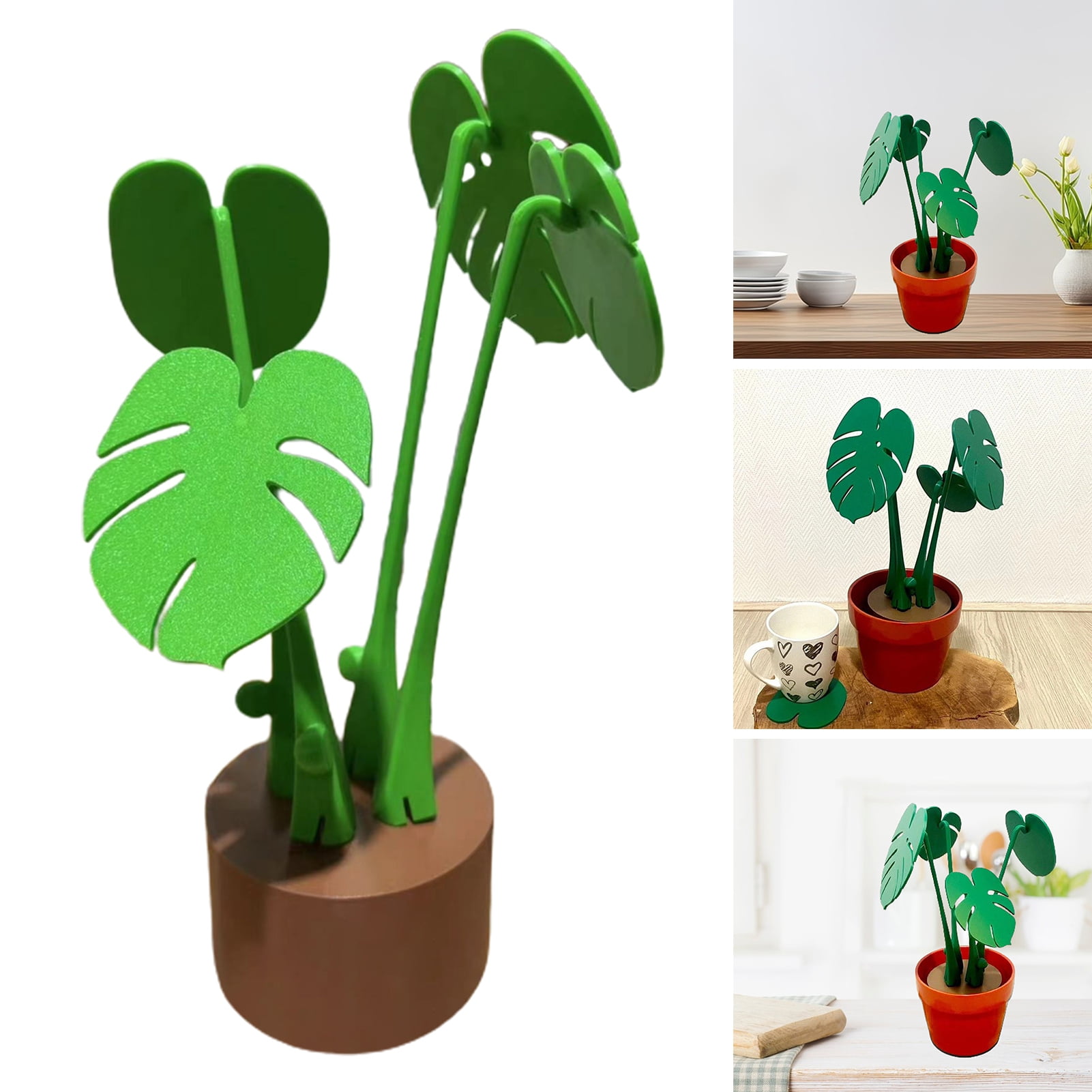 spider plant wide leaves Variegated Spider Plant | Houseplant Delivery