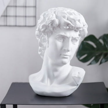 Joernso Resin David Head Sculpture Statue Sketch Practice Model Figurine Home Decoration