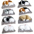 thumbnail image 1 of Joernso Simulation Labrador Husky Bark Dog Activated Carbon Plush Toy Car Interior Decor, 1 of 5