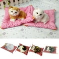 thumbnail image 1 of Joernso Simulation Mini Cat High Simulation Breathable Birthday Gifts Cloth Pad Plush Cats for Kids, 1 of 8