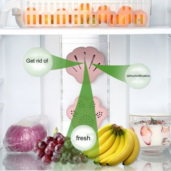 Joernso Suction Cup Fridge Activated Carbon Deodorant Box Air Purifier Smell Remover