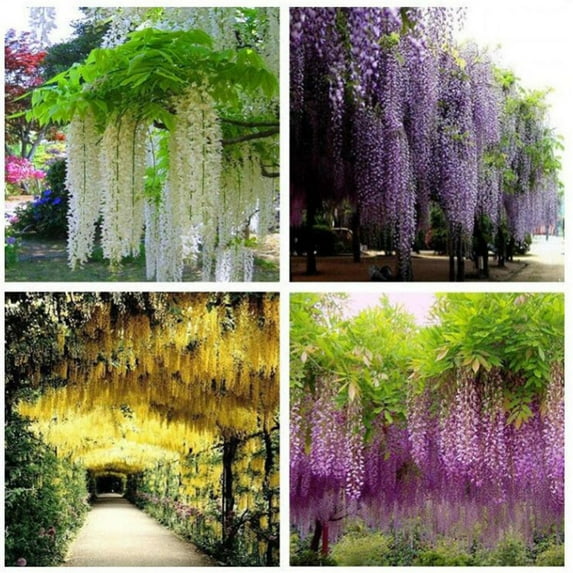 Joernso Vine Wisteria Artificial Flowers Wedding Arch Gazebo Decoration Home Garland