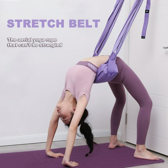 Joernso Yoga Rope Elastic Removable Flexibility Workout Back Bend Trainer Band for Dance