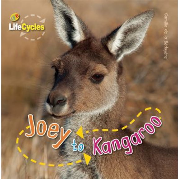 Pre-Owned Joey to Kangaroo (LifeCycles) (Hardcover) 1595667407 9781595667403