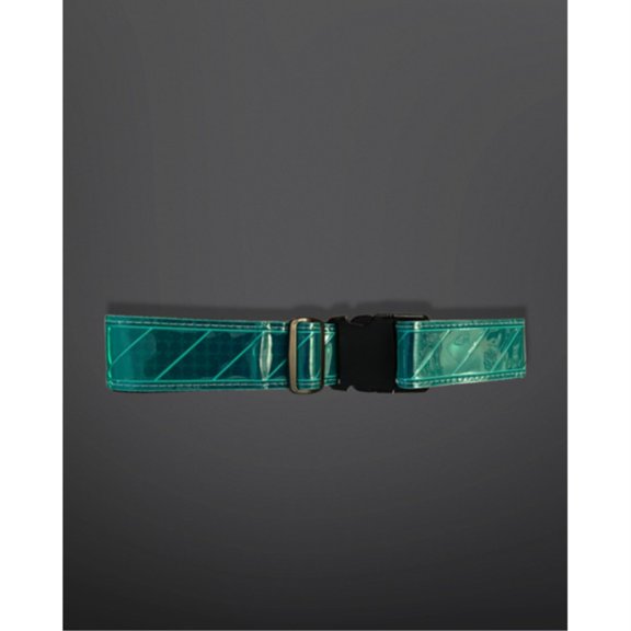 Reflective Web Belt