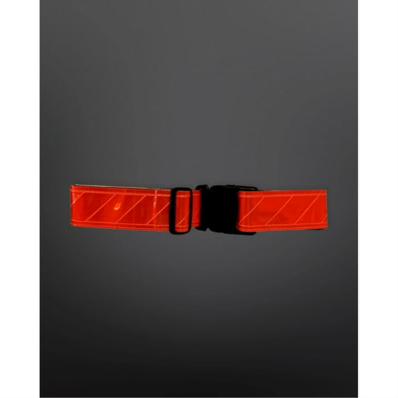 Jogalite Reflective Web Belt 10 Pack