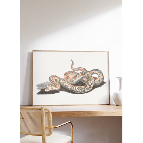 Johan Teyler Vintage Snake Minimal Animal Poster, Unframed Size 8x12