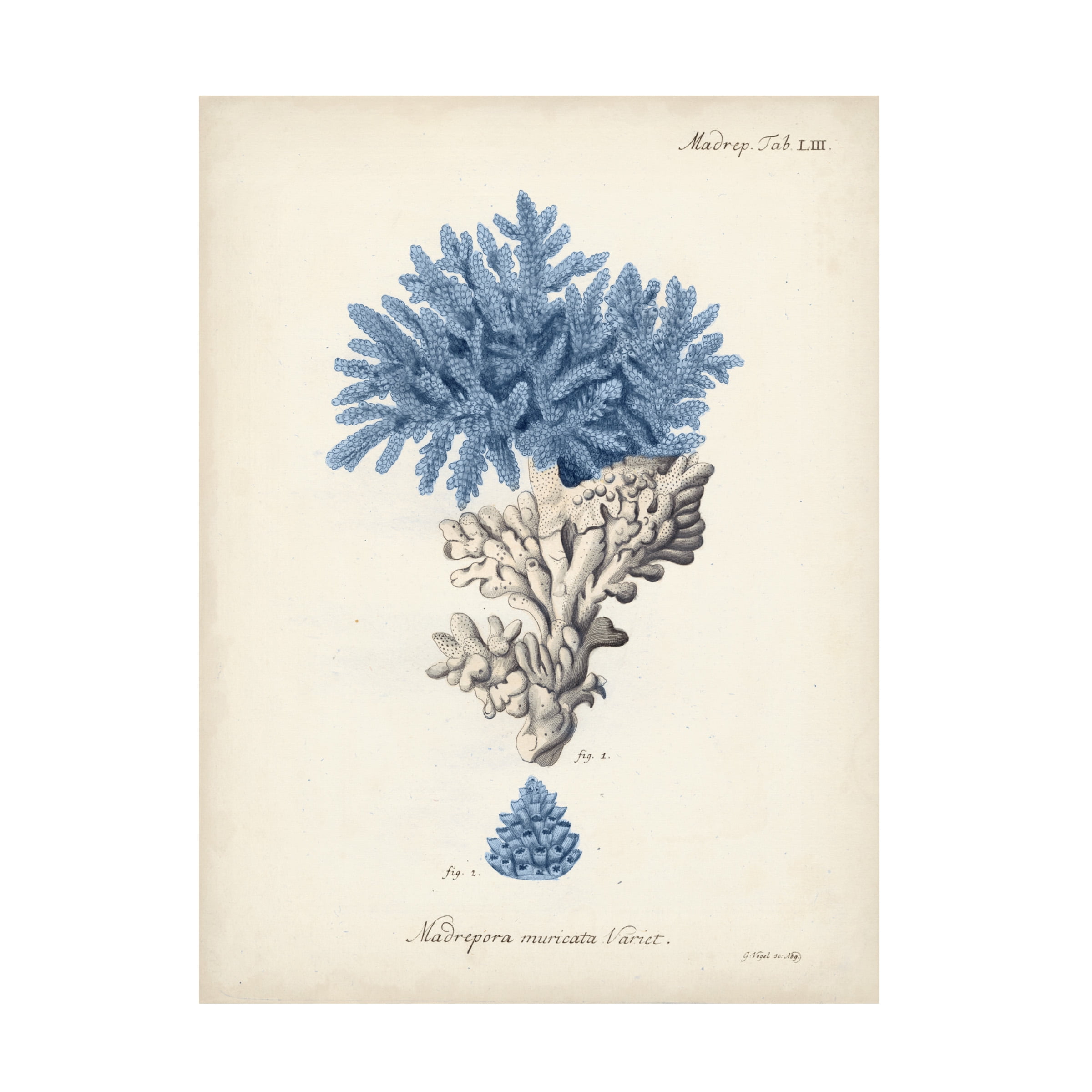 Johann Esper 'Antique Coral in Navy III' Canvas Art