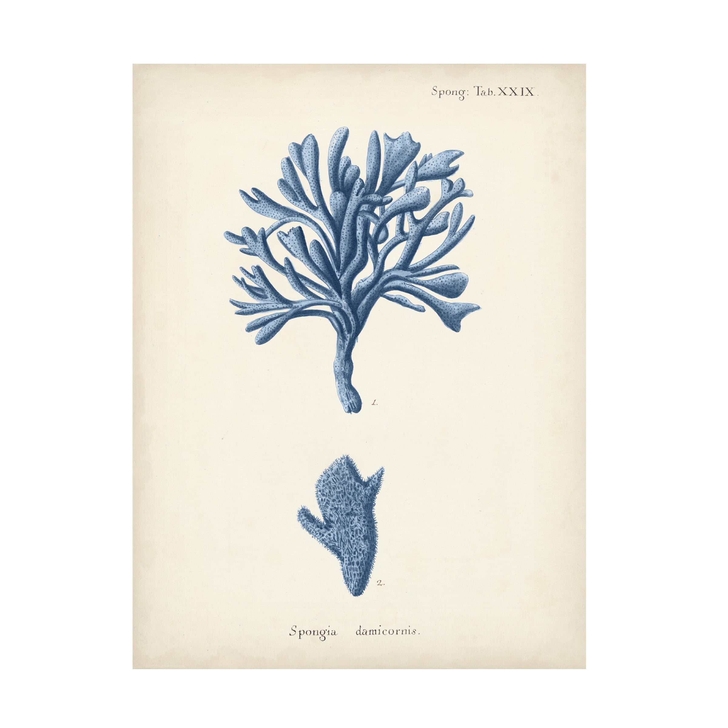 Johann Esper 'Antique Coral in Navy IV' Canvas Art