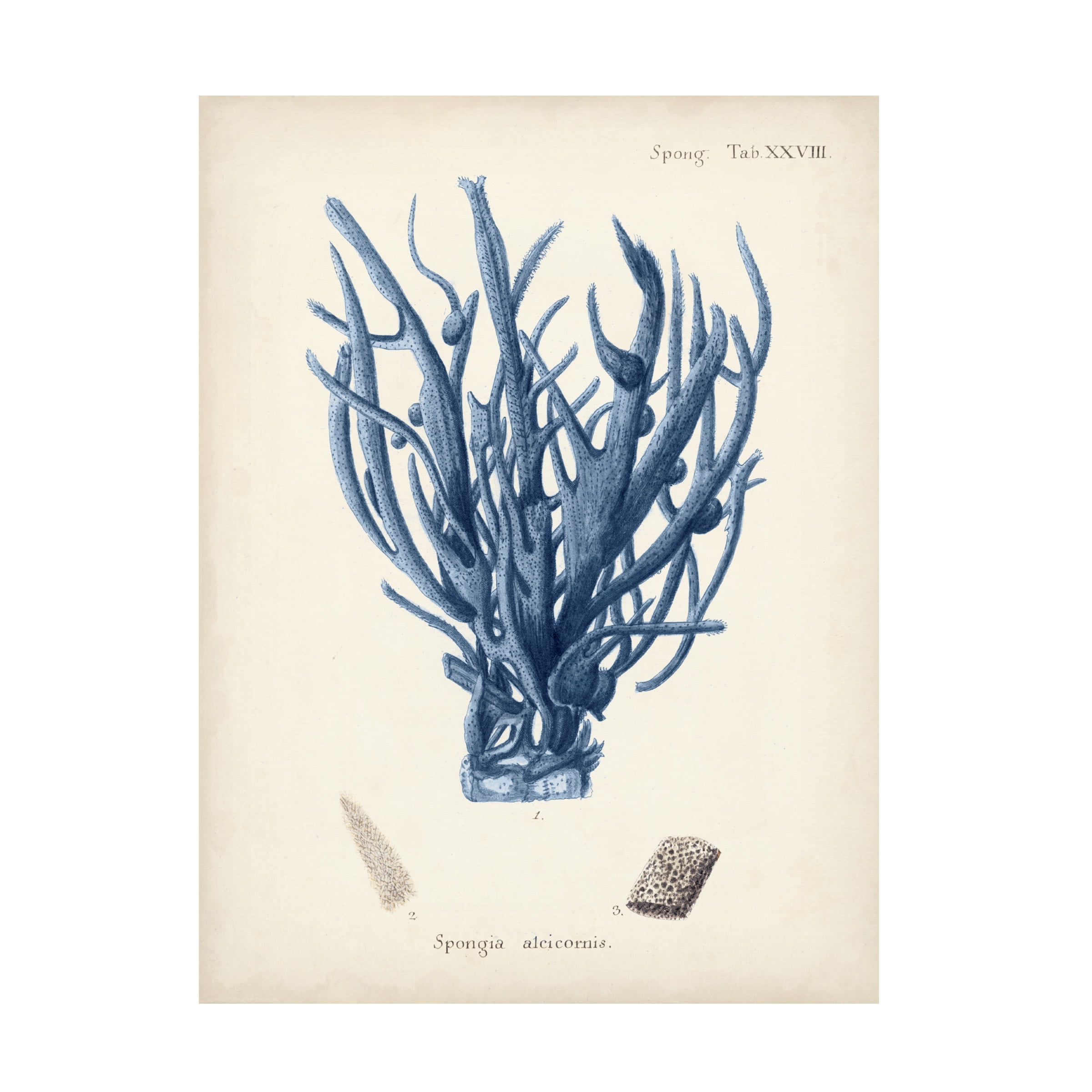 Johann Esper 'Antique Coral in Navy V' Canvas Art