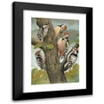 thumbnail image 1 of Johann Friedrich Naumann 11x14 Black Modern Framed Museum Art Print Titled - Dendrocopus Medius, Dendrocopus Minor, 1 of 5