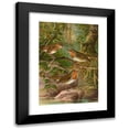 thumbnail image 1 of Johann Friedrich Naumann 14x18 Black Modern Framed Museum Art Print Titled - Erithacus Rubeculus, 1 of 5