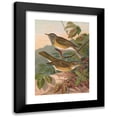 thumbnail image 1 of Johann Friedrich Naumann 14x18 Black Modern Framed Museum Art Print Titled - Sylvia, 1 of 5