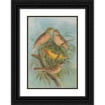 thumbnail image 1 of Johann Friedrich Naumann 14x18 Black Ornate Wood Framed Double Matted Museum Art Print Titled - Embarrass Hortulana, Embarrass Luteola Sparm, Embarrass Chrysophrys Pall, 1 of 5