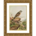 thumbnail image 1 of Johann Friedrich Naumann 14x18 Gold Ornate Wood Frame and Double Matted Museum Art Print Titled - Accentor Collar, 1 of 4