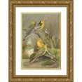 thumbnail image 1 of Johann Friedrich Naumann 14x18 Gold Ornate Wood Frame and Double Matted Museum Art Print Titled - Budytes Citreolus, Budytes Campestris, 1 of 4